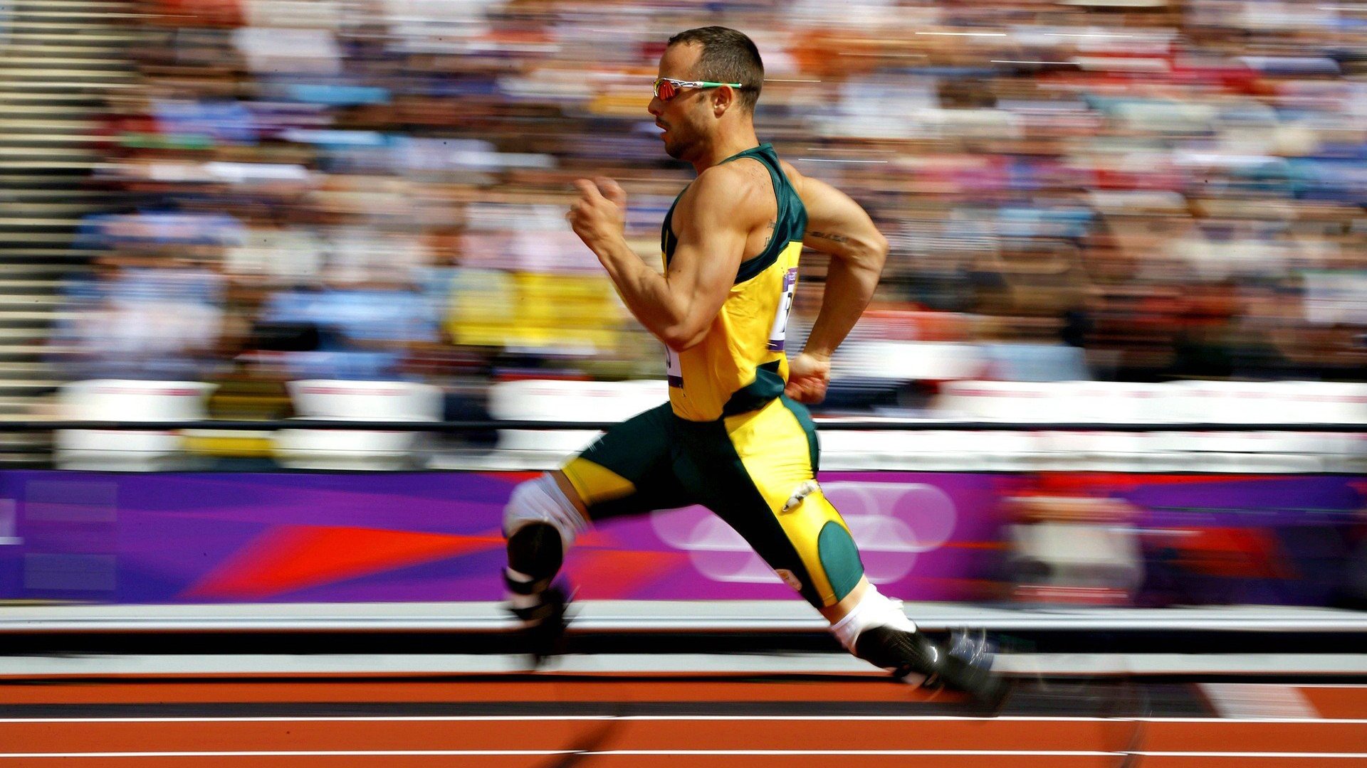 新闻中心发布环保行动方案,环保行动计划