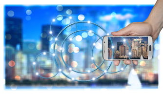 九游官网入口活动-高校运动训练科学化管理策略研究，高校运动训练科学化管理策略研究论文