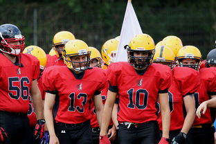 九游体育-球员伤病防护不足，球员伤病对球员的影响