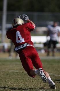 九游娱乐-主场作战优势明显 球队延续连胜纪录，主场作战下一句是啥